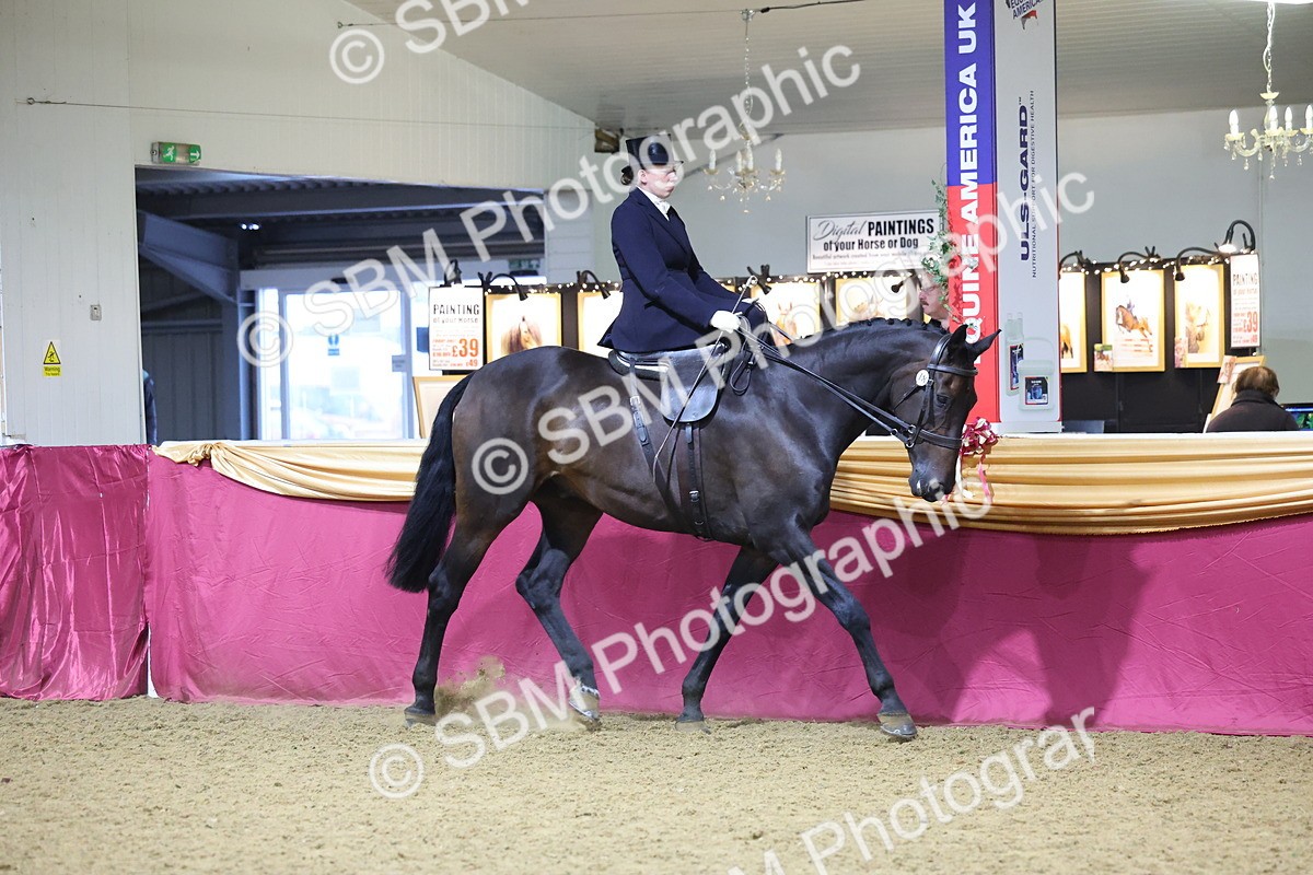 SBM_19291 - Class K Equitation Champ