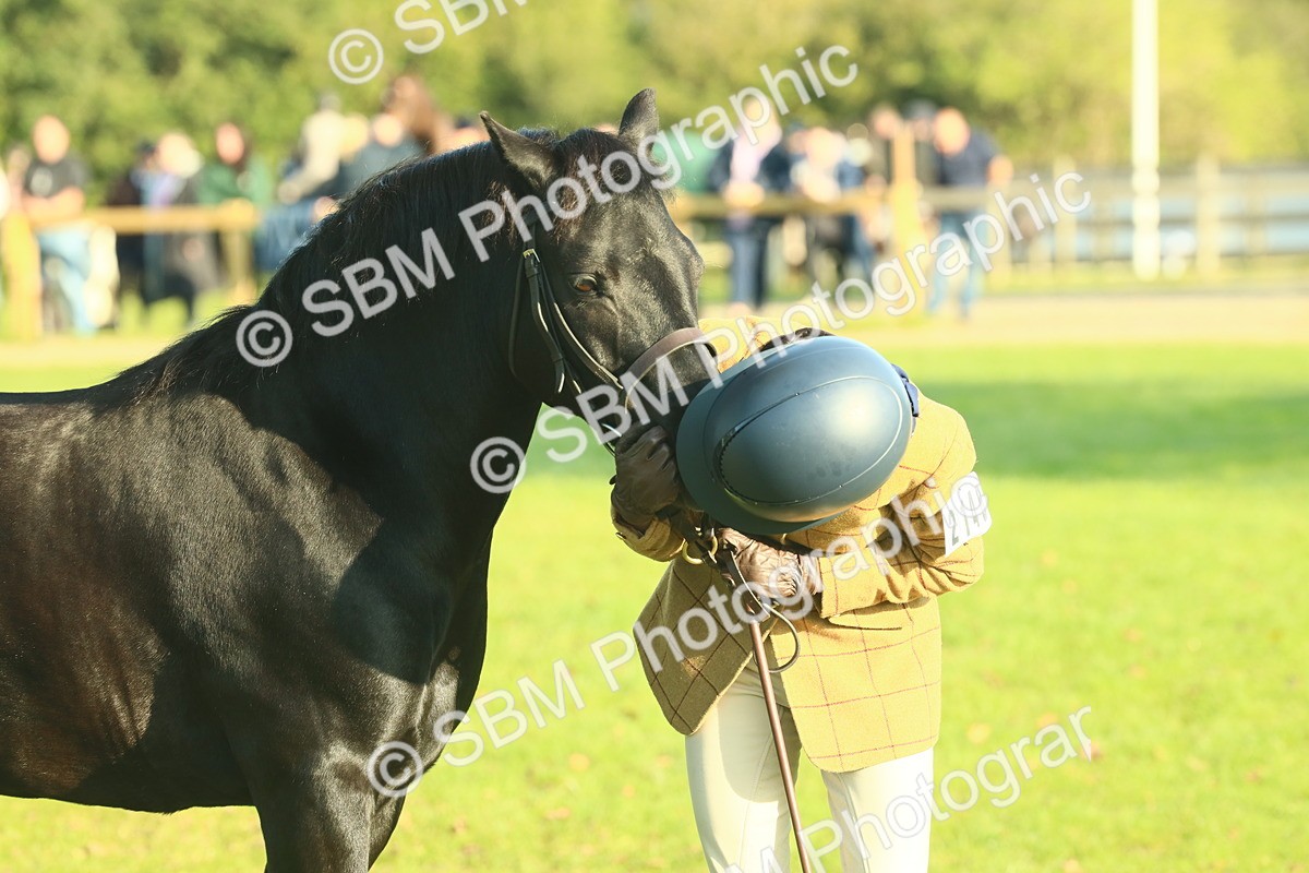 SBM_58449 - S37 - Starters In Hand Showing