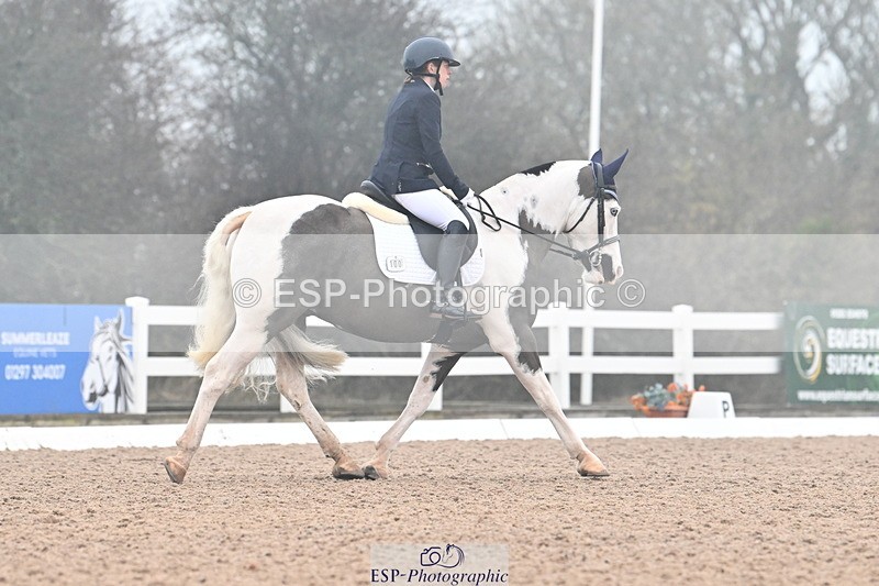 240217A-121017-02132 - 100-Gemma.Pine-Major.IV