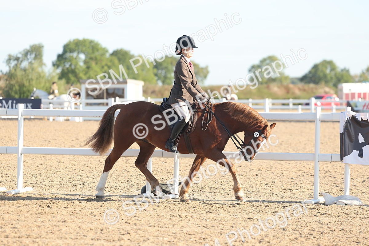 SBM_10970 - Class 302 - Ridden M&M Large Breeds