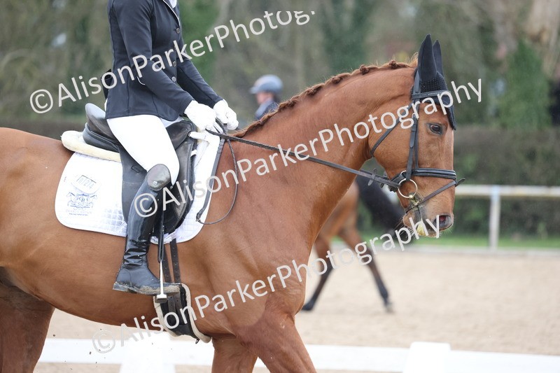 20260301-0375 - Class 3 - Novice 4