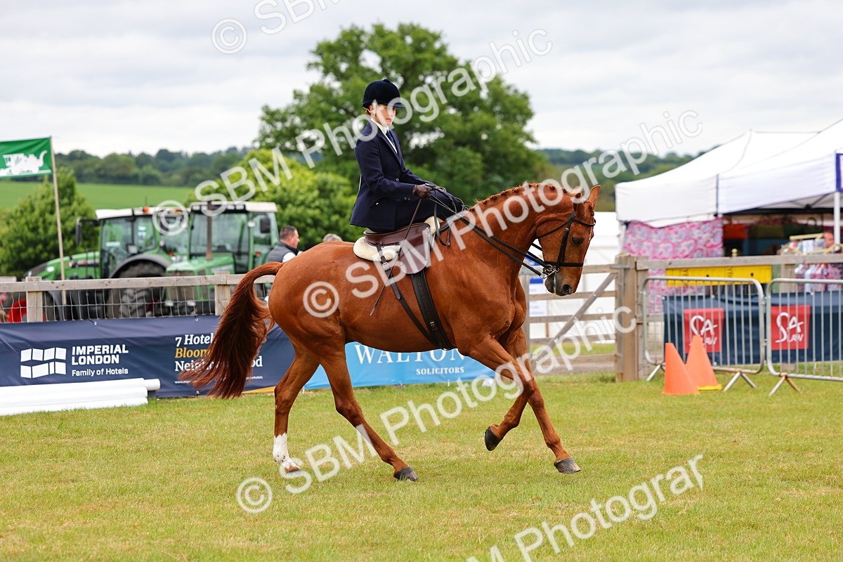SBM_02874 - Class 9-11 Side Saddle including LIHS Rising Star Ladies Show Horse