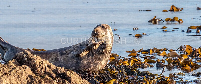 PA131287 - Argyll