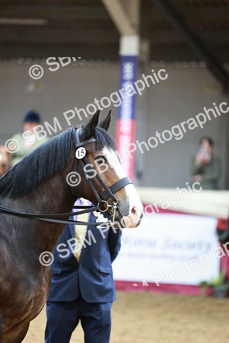 SBM_03595 - Class 6A Area Ridden Pre-Vet