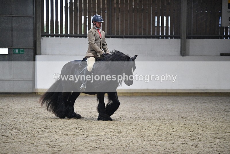 WJ5_8652 - Class 14 Novice Ridden/Rider