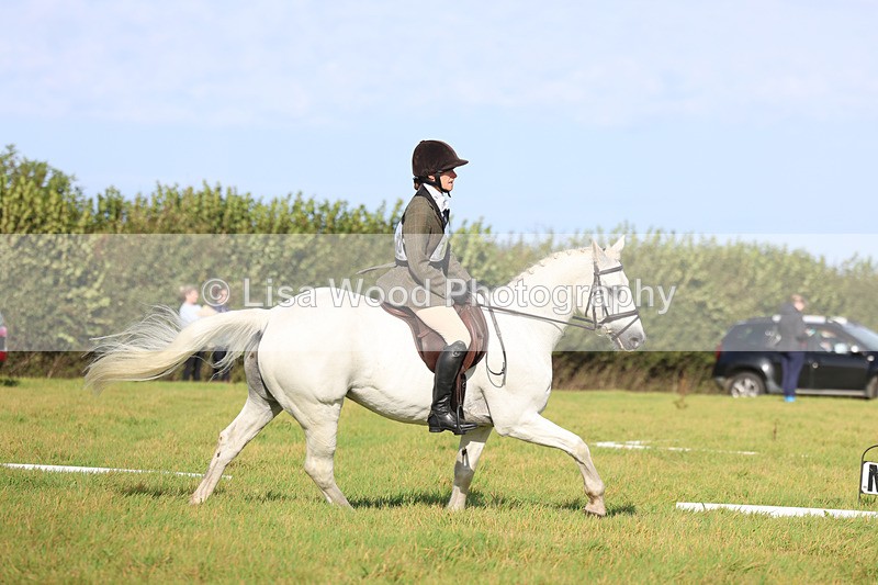 3E7A5810 - Class 1: Trebudannon Open: Dressage (Part 2)