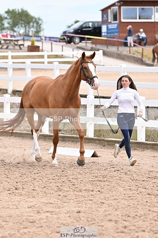 250716-142958-01132 - Trot Up 1.30 to 2.30