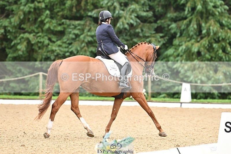 240811-102909-04757 - 156-Stacey.Escrig-Joie.De.Vivre