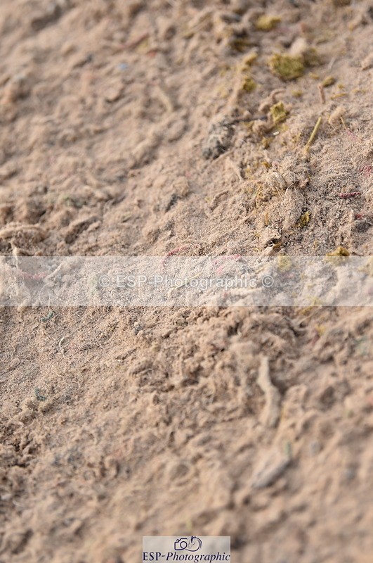 231015A-134320-08410 - Cls 25 95cm Amateur Q 2nd R