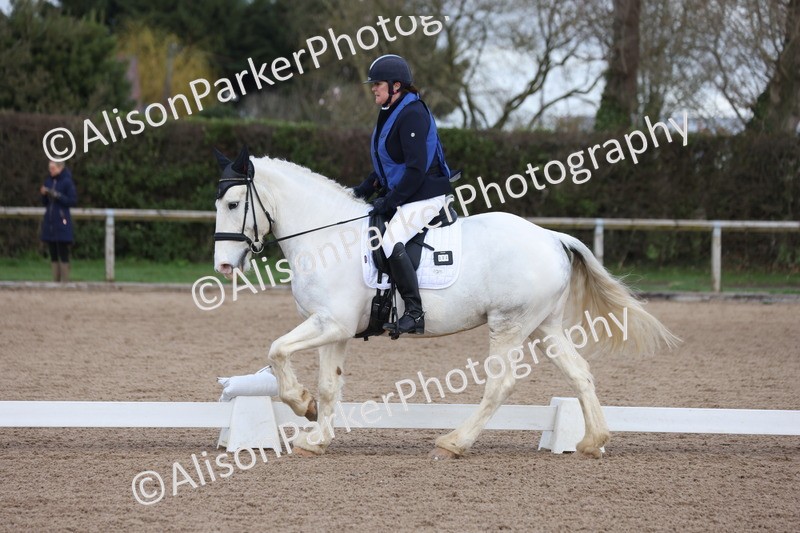 20260301-0170 - Class 3 - Novice 4