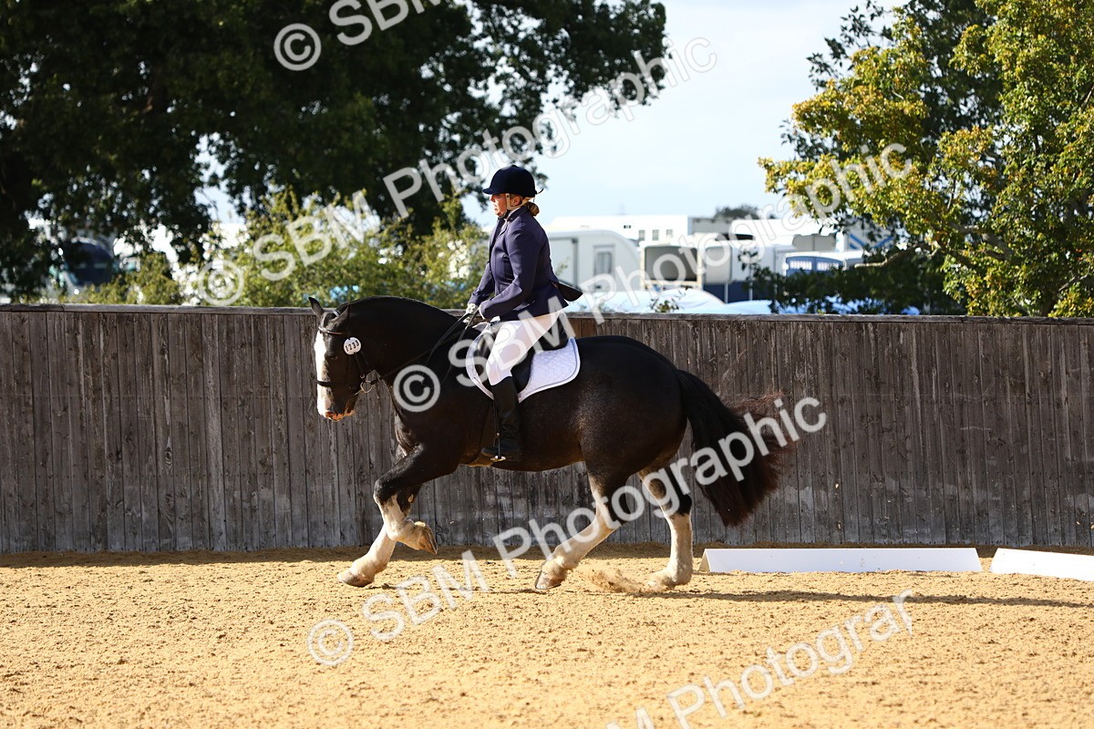 SBM_24508 - D11 - Small Tour Championship Prelim 1