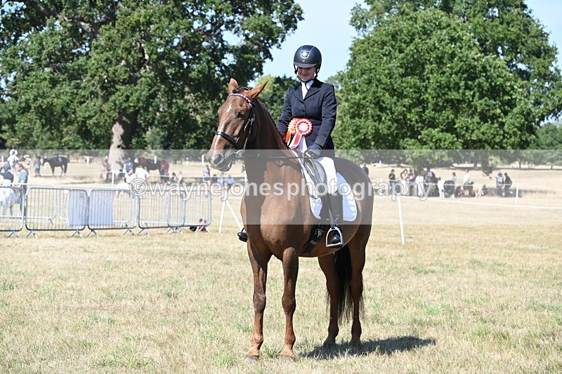 WJ6_9056 - Class 38 Ridden Riding Horse/Pony