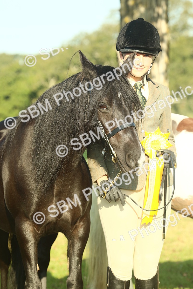 SBM_58483 - S37 - Starters In Hand Showing