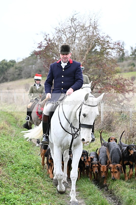 WJ7_0830 - First Seen