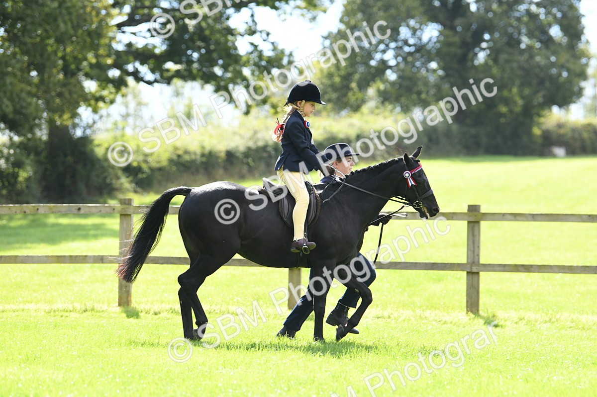 SBM_41139 - S19 - Lead Rein Show & Show Hunter Pony