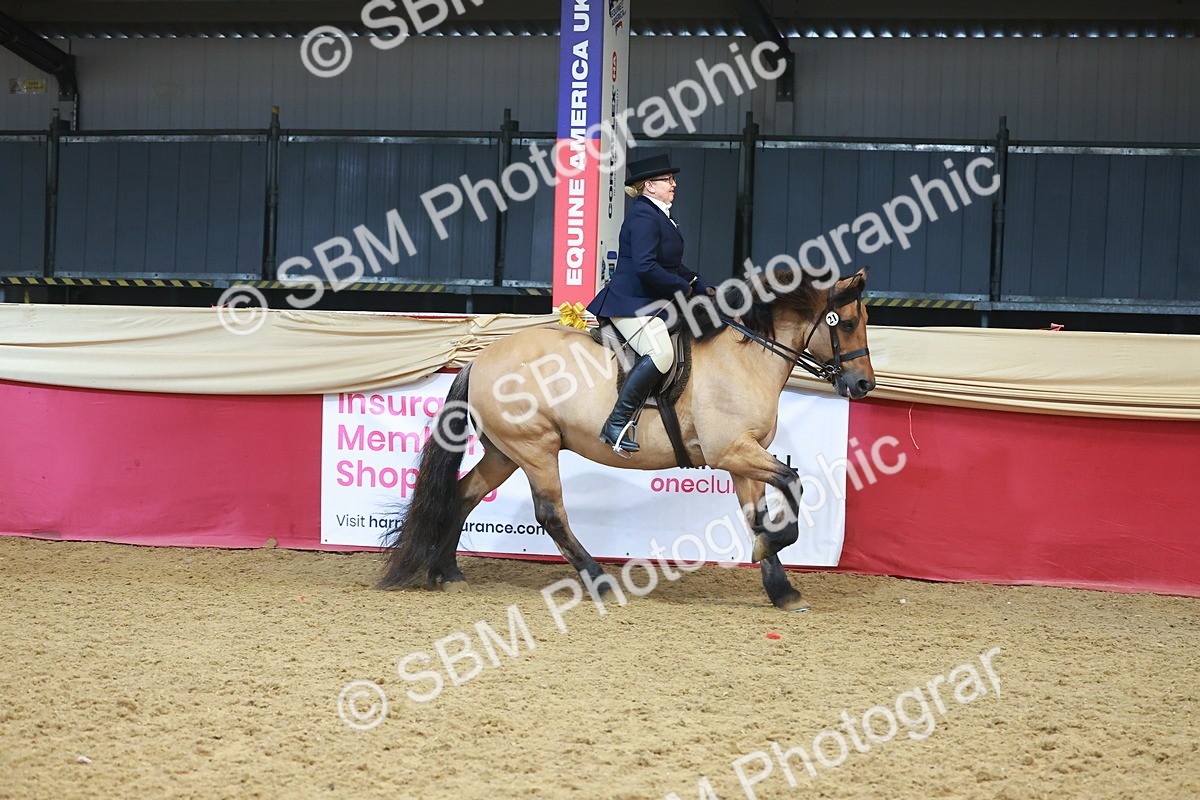 SBM_17714 - Class 952 - M&M Ridden Supreme Final