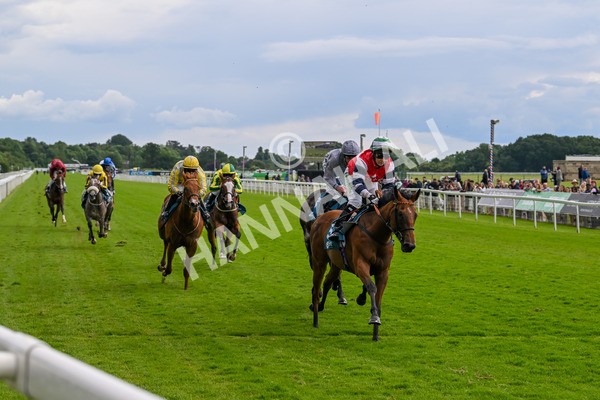140624-Race 4-Havana Gila-4499 - Race 4 3.35pm Seat Unique Ganton Stakes