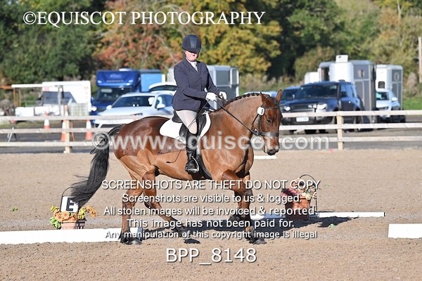 BPP_8148 - LONG ARENA