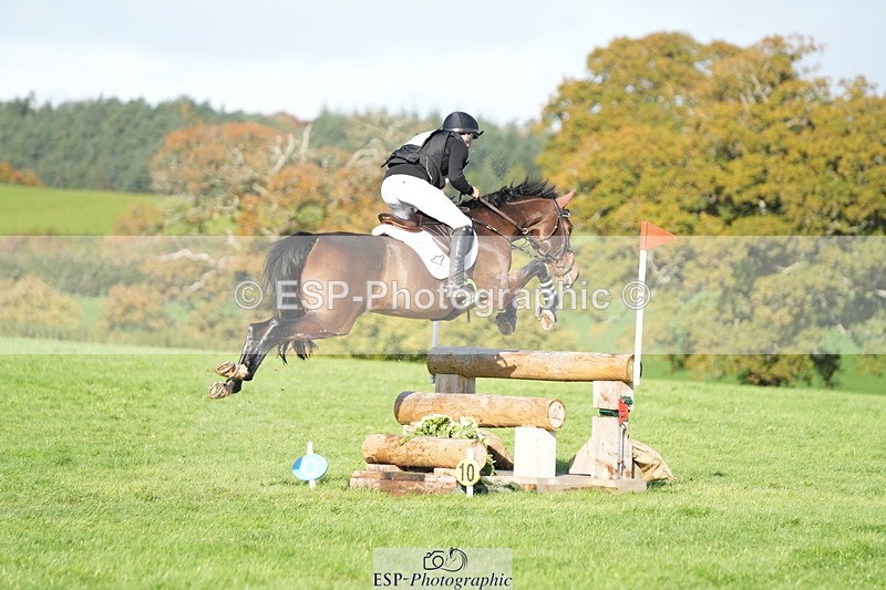 251024A-112029-07207 - A-017-Harrison.Chart