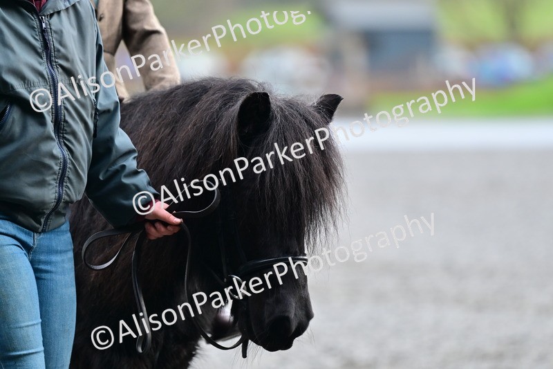 20260125-1003 - Class 9a - Walk Trot Assisted