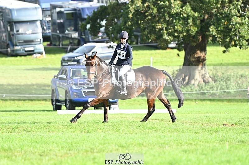 231020-095853-05821 - 466-SPARHANGER.VELVET-Tichy.Sanders-DR