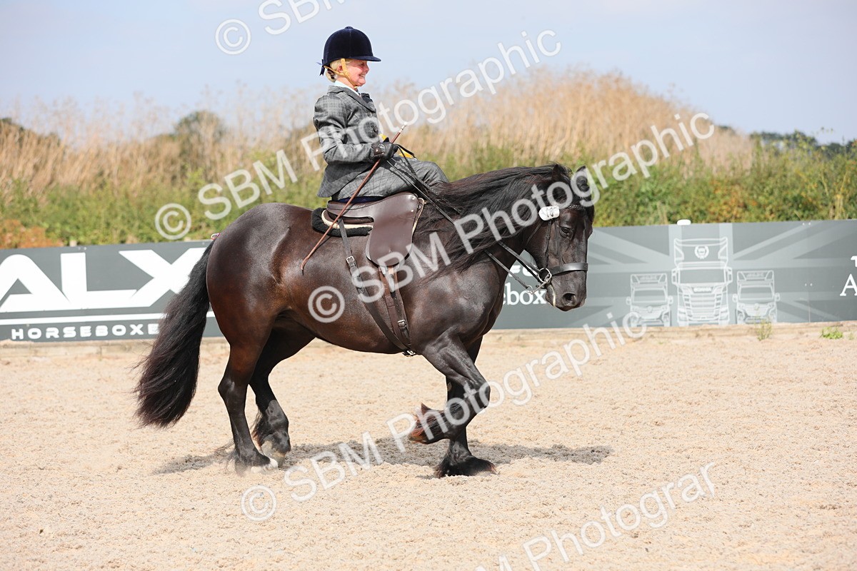 SBM_14651 - Class 211 Best Side Saddle Horse/Pony