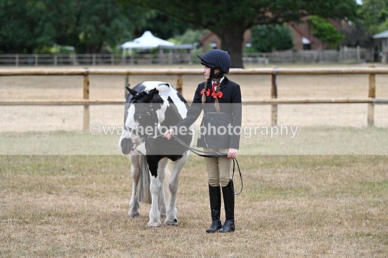 WJ7_8100 - Class 4 Prettiest Mare up to 14.2hh
