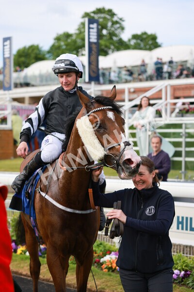 yr21052022r6-33 - Race 6: 4:42pm Yorkshire Regiment Stakes