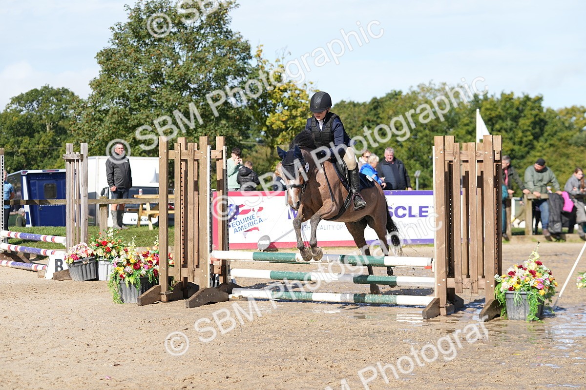 SBM_38347 - J6 - Junior Pony 55cm Championship