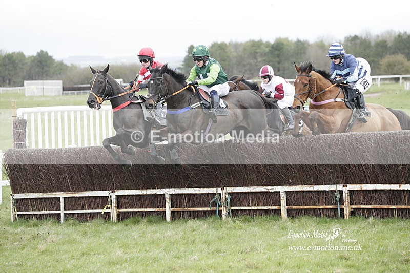 PtP 260323 0466 - New Forest Hounds Point-to-Point Larkhill 26/03/23