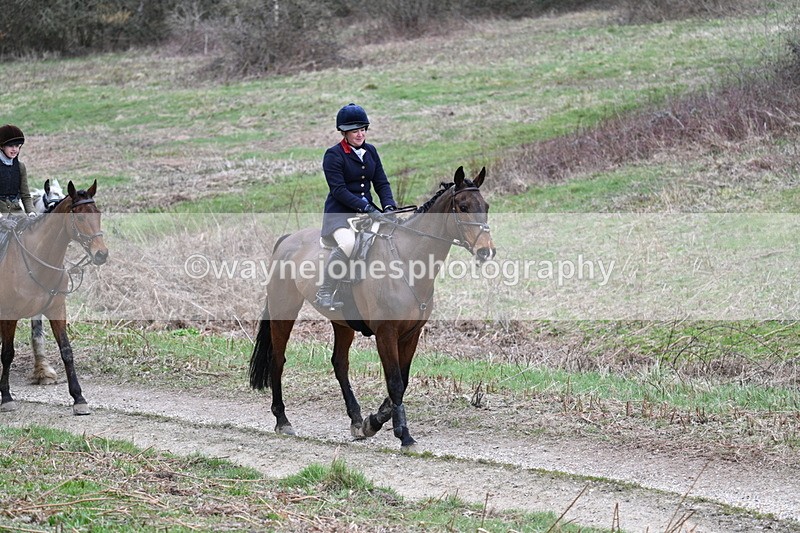 WJ7_7374 - Walk Home