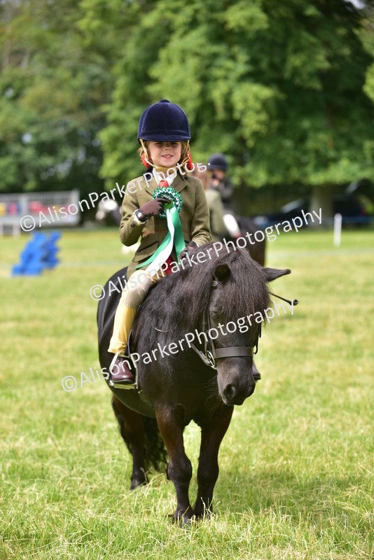 20260614-3729 - Class 15 - Prettiest Mare