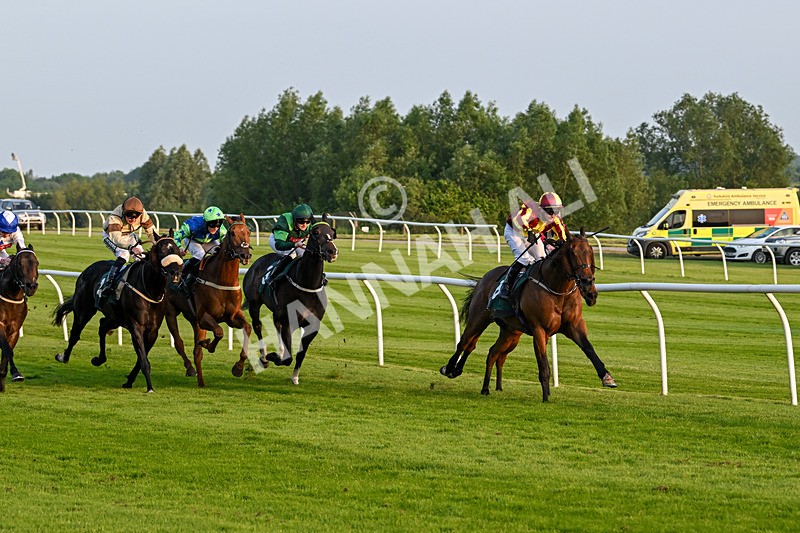 310524-Race 4-Albegone-8763 - Race 4