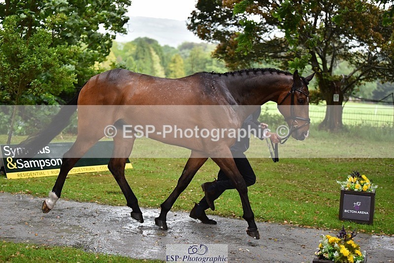 240522-151914-00258 - 320-CARPO_VIVENDI-Jack_Pinkney