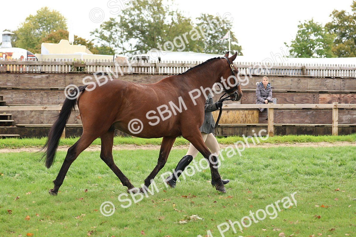 SBM_40775 - S25 -  Veteran In Hand