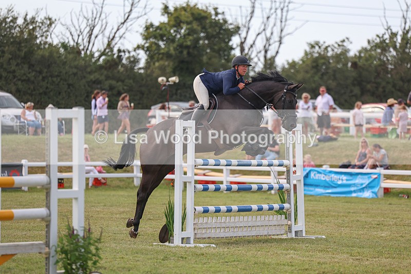 3E7A0843 - Class C: Showjumping Senior Foxhunter