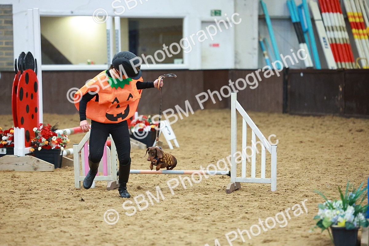 SBM_002201 - Class 3 - Horse & Hound (60cm)