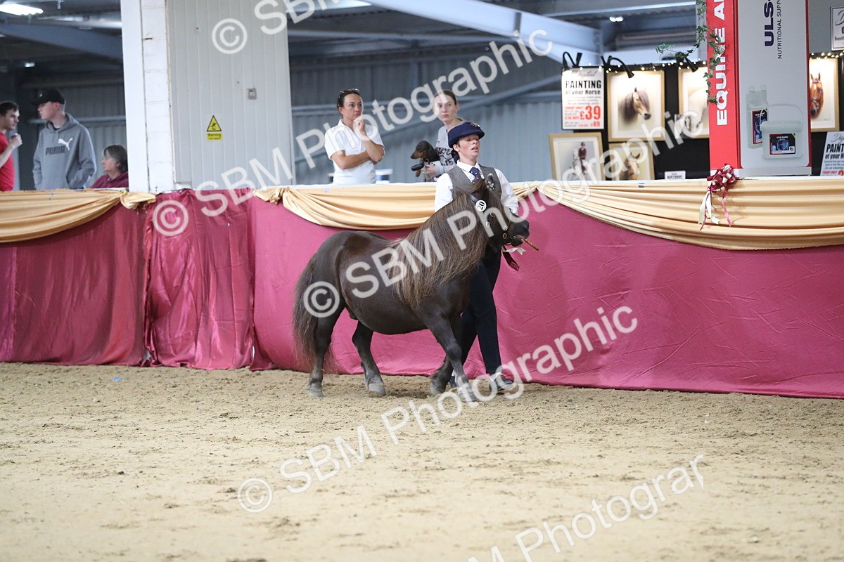 SBM_05088 - Class 8R- Regional -IH Veteran