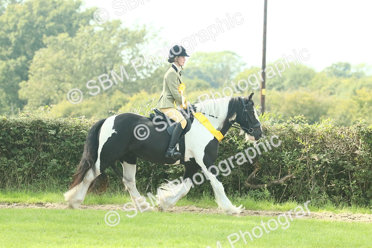 SBM_68988 - S58 - Mini Show Cob Ridden