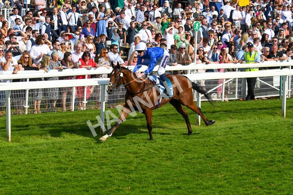 270523-Race 7-Shining Blue-1000 - Race 7 5.00pm Reg Bond Always And Forever Handicap