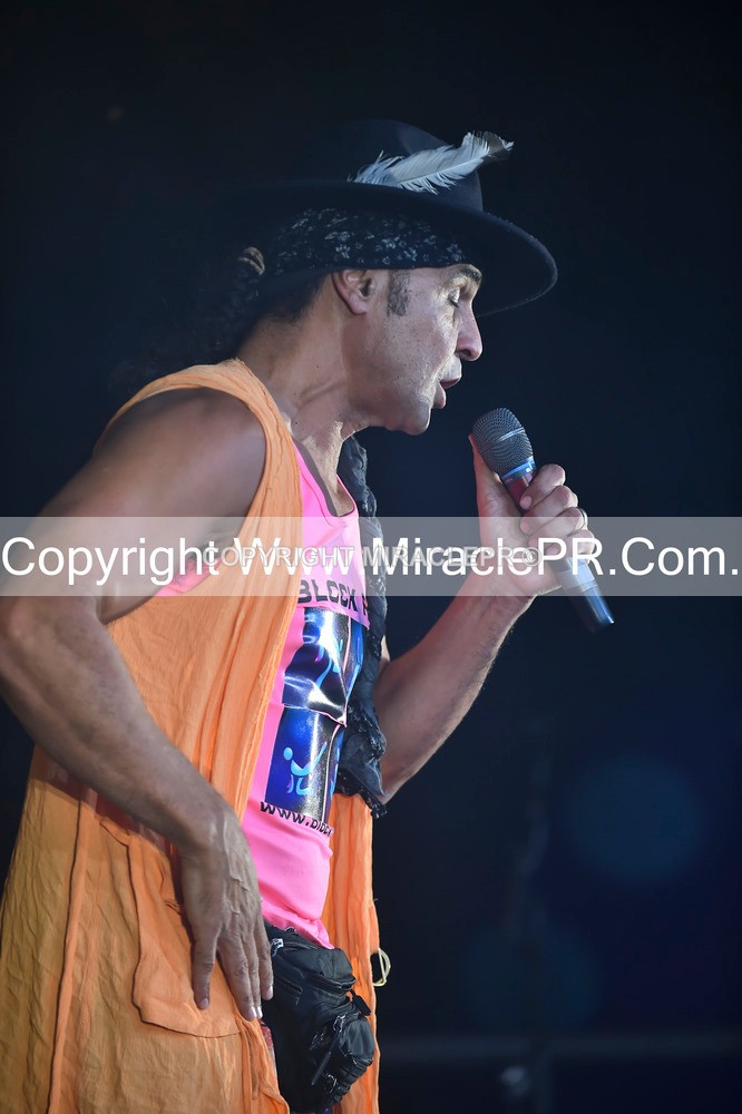 SH4_4401 - Chico