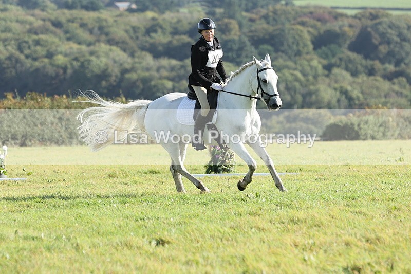 JPP_7910 - Class 2A: Trekenning Open: Dressage