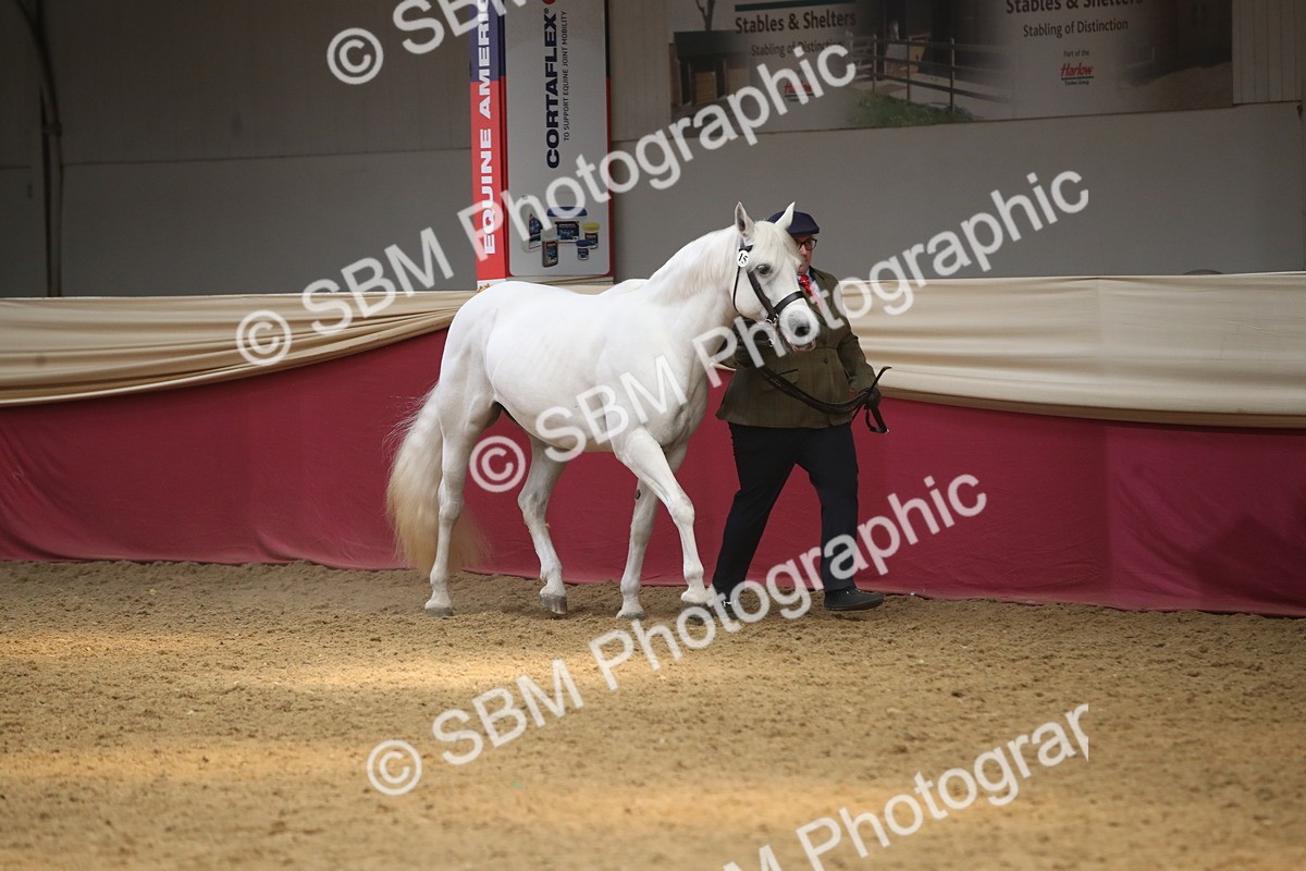 SBM_05580 - Class 9R - Regional IH Pre-Vet