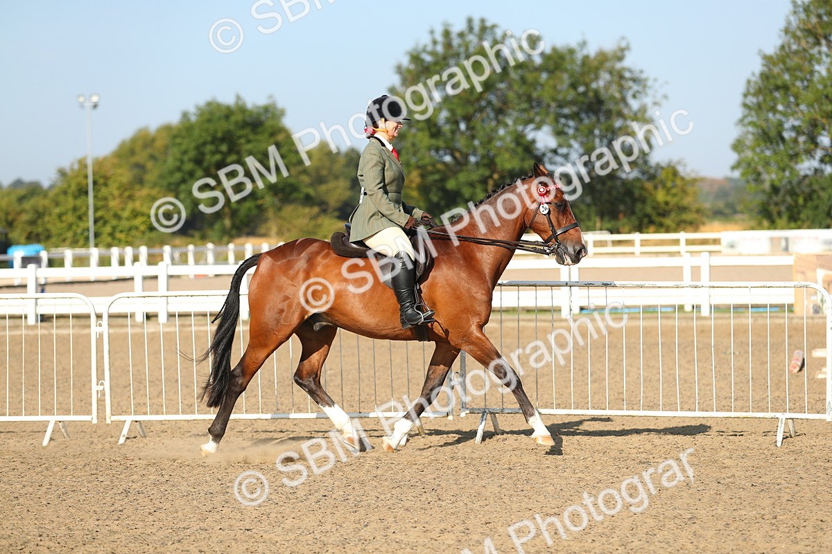 SBM_01117 - Class 42 Ridden Veteran