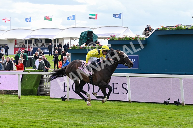 150526-Race 5-Rahiebb-8136 - Race 5 4.05pm Boodles Yorkshire Cup Stakes