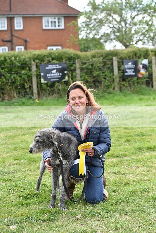 WJ5_9406 - Class 1 Best Cross Breed / Heniz 57