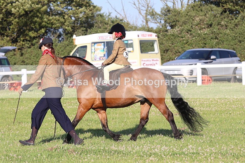 JPP_0743 - Class 16: Cornish Combination Leading Rein
