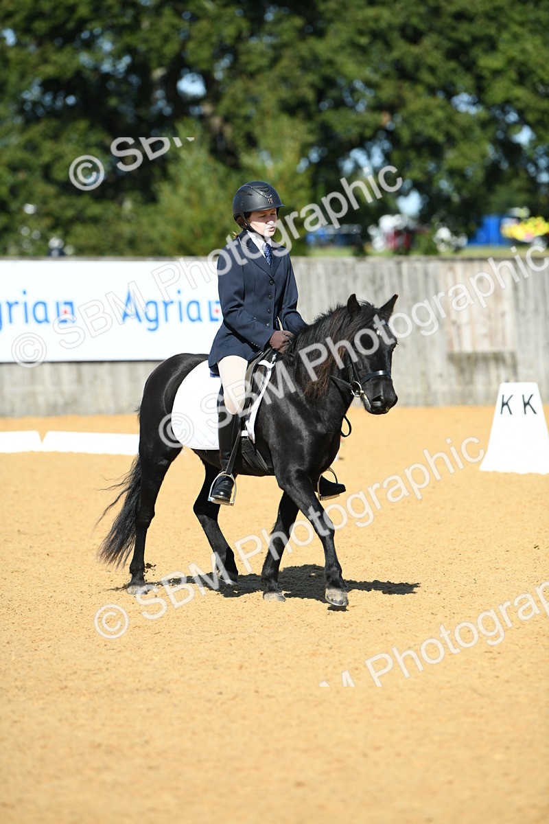 SBM_18164 - D4 - Small Tour Championship - Intro B