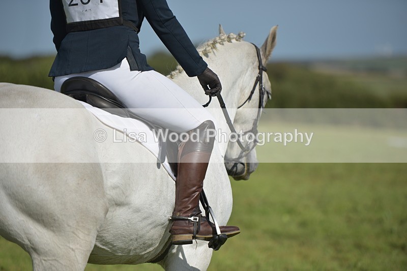 RAY_8106 - Class 2B: Trekenning Open: Dressage