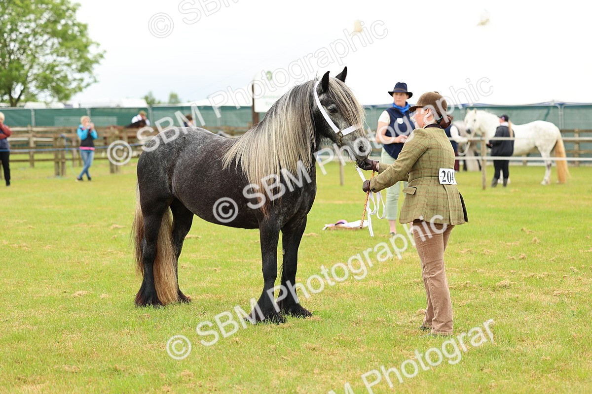 SBM_00391 - Class 58-67 - M&M Non Welsh Pony In hand